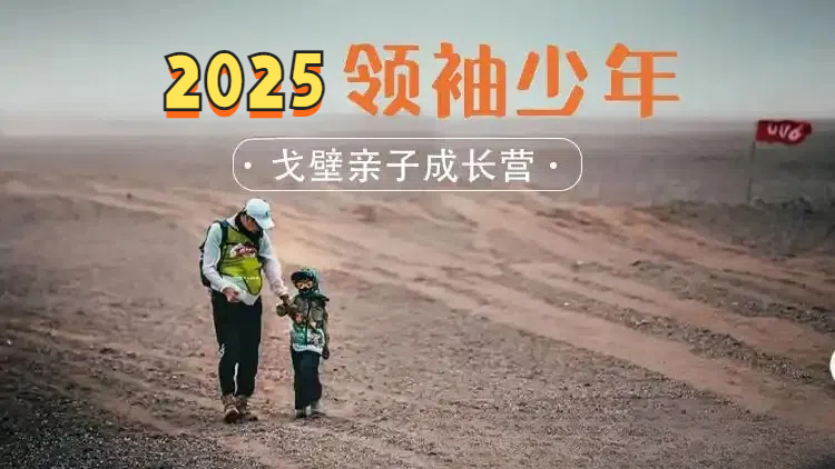 2025I(lng)HӳL(zhng)I(yng)ļ